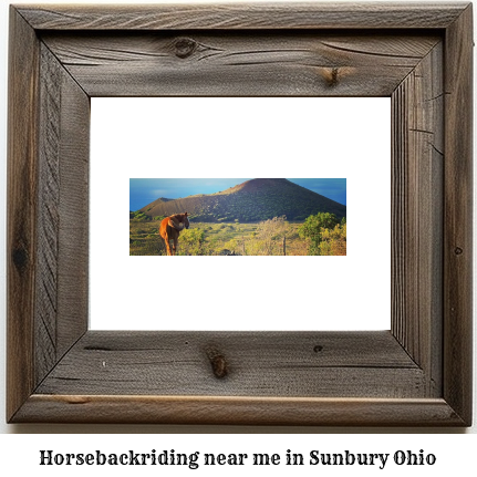 horseback riding near me in Sunbury, Ohio